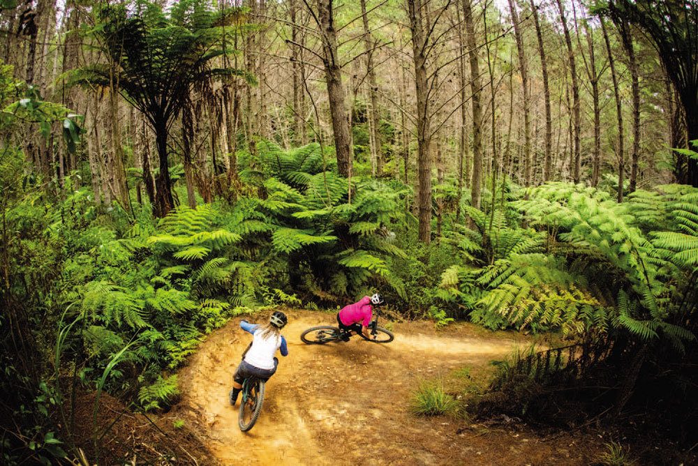 Feature: From Birth to Evolution - NZ Mountain Biker Magazine